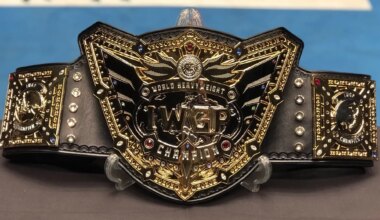 I wish someone would take the hammer from Gedo and smash this belt.