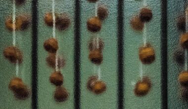 Drying Persimmons, Ogi, Sado Island