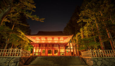 Kongobu-ji at night [OC]