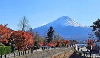 Mt. Fuji