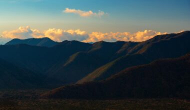 Golden Accents on Mountain Ridges: Kagikake Mountain Range and Aokigahara Forest