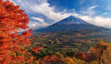 Momiji Autumnal Leaves & Mt. Fuji