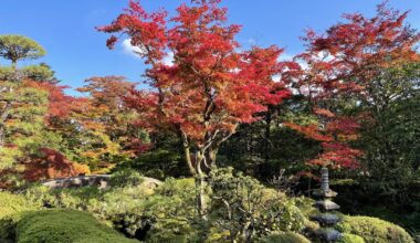 Vibrant colors in Nikko