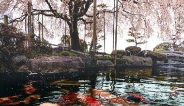 Oshimizu Pond, Aichi