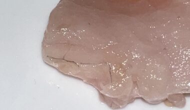 Is this a normal part of the fish or….? In my raw yellowtail tuna bought from a reputable fishmonger hours ago. Bought with some skin still on.