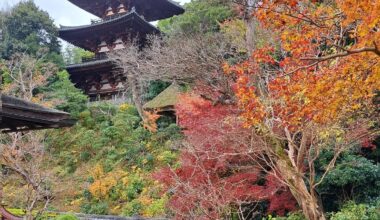 The gardens of Nakanobo, one of the temples that make up Nara's Taima-dera