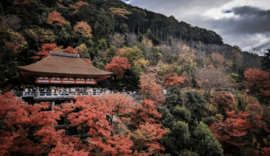 Fall foliage, Kiyomizu-Dera, 1-12-23