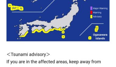 Tsunami Advisory. Source: NHK World Japan.