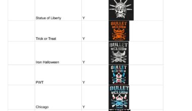 I have a google spreadsheet with all my Bullet Club jolly roger shirts.