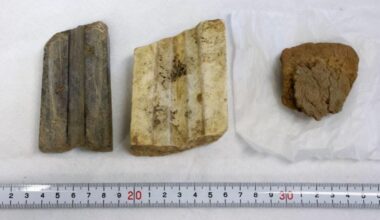 Japan's possibly oldest molds for bronze relics found at Saga ruins