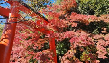 Shimogamo Shrine Kyoto