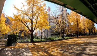 Wakamiya Boulevard, Nagoya