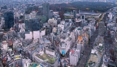 View from Shibuya Sky