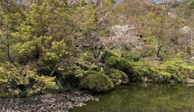 Kyoto - Kyomizudera- Sakura🌸