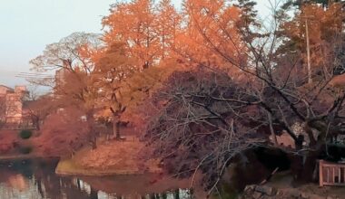 Okazaki Castle Park