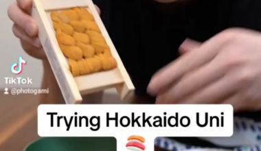 Trying Hokkaido Bafun Uni