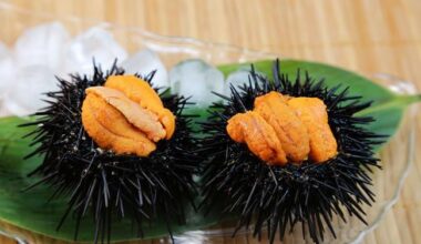 What’s the deal with uni/sea urchin in the US?!