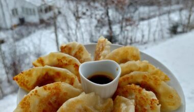 I made these homemade Gyoza for the first time today 🥟