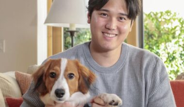 New Dodger Shohei Ohtani flicks the script with unusual dog name