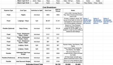 Cousins want to go to Japan together in 2025. I came up with a budget proposal. (9 people, 14 days)