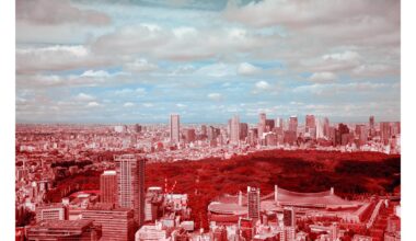 Overlooking Tokyo. Shibuya Sky. Shot on 120 Film.