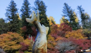 Korankei momiji few weeks ago