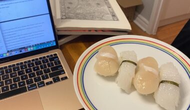 My bf made me a snack while I’m writing final essays 🤓 🍣