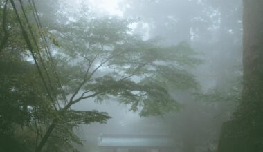 A foggy Mount Takao