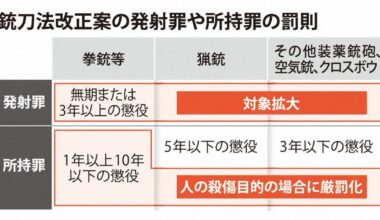 Japanese National Police Agency proposes amendment Firearms Law