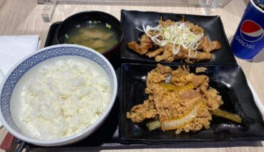 Beef Bowl and Japanese Curry