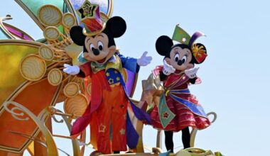 Court rejects damages claim by ex-Tokyo Disneyland performer