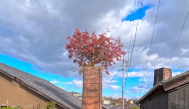 Tree in a Chimney, Tokoname, Aichi