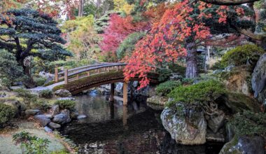 The Emperor's private garden, Kyoto Imperial Palace, Kyoto, 3-12-23