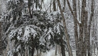 Snow blankets the countryside in Yamanashi