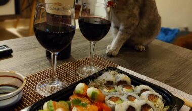 Someone is getting to close !! what to you prefer to eat sushi , wine or beer? I know a lot people have it with white wine , in my case i had malbec .