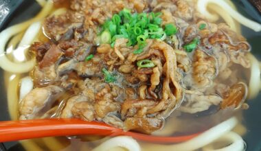 Udon and Beef at one restaurant in Fukuoka International Airport