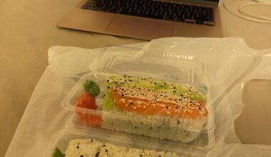 €10 of sushi in Vienna. Salmon and avocado rolls