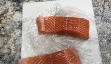 Ocean Trout / Salmon