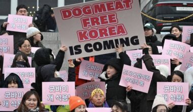 South Korea parliament passes bill banning dog meat trade