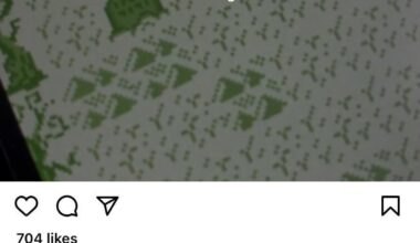 Instagram’s translate functions strikes again