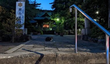 The Torii of Dairokuten Jinja