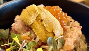 Uni combination donburi