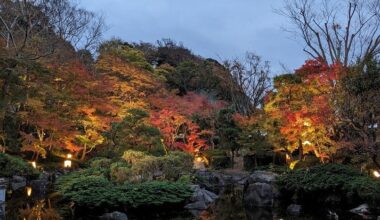 The Japanese Garden at Oiso Joyama Park