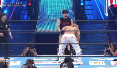 The rear naked choke and push-up bar makes Ren Narita's Double Cross finisher so much fun