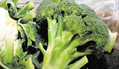 Broccoli to be ‘Designated Vegetable’ in Japan; First Addition in 50 Years