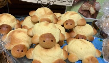 Kame-pan カメパン！ (turtle bread)