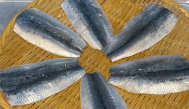 Perfect Japanese Sardine 🍣🔥🤤
