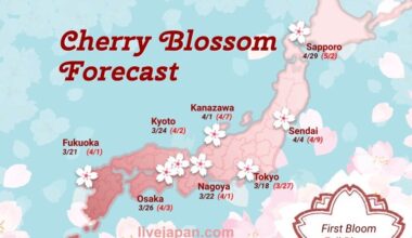 2 Week itinerary for Tokyo, Nikko and the Kansai area at the end of March