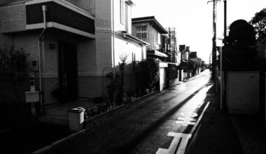 distant Tokyo suburb - film art mode