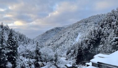 Jigokudani Yaen Kōen near sunset